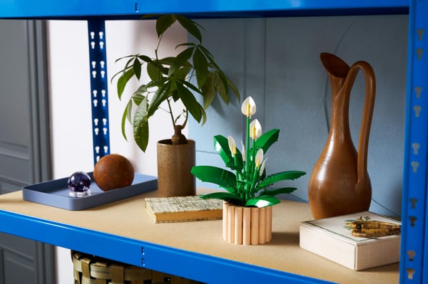 LEGO Botanicals 11504 Fredskalla
