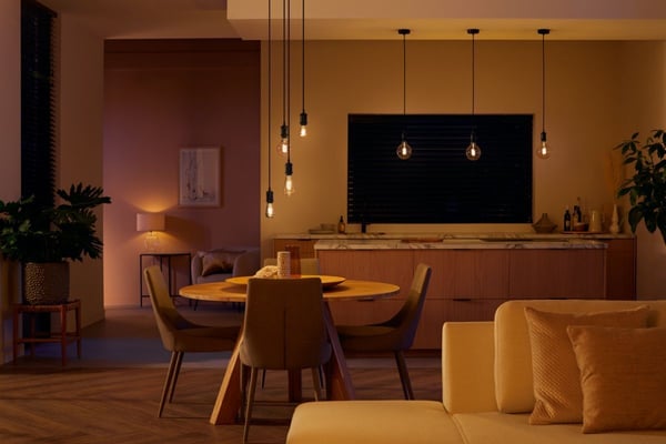 Philips Hue -filamentintelligent lampa, White ambiance Filament Globe, E27, 12,5 cm