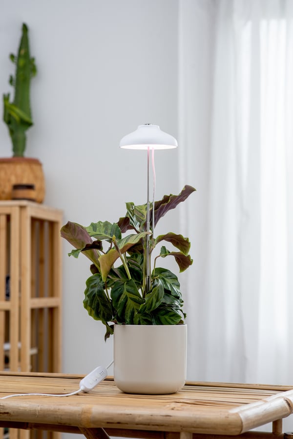 Airam Iris -plantelampe, IP20, 5W, 240 lm, hvid