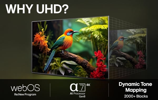 LG 65'' UA73 – 4K LED-TV