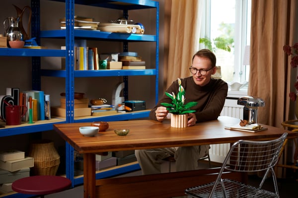 LEGO Botanicals 11504 Fredskalla