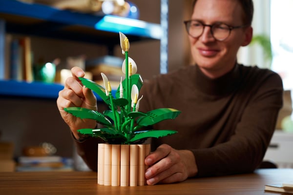 LEGO Botanicals 11504 Fredskalla