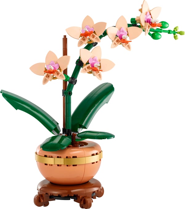 LEGO Botanicals 10343 – Miniorkidé