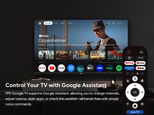 FPD 24" G500 HD Ready LED Google TV