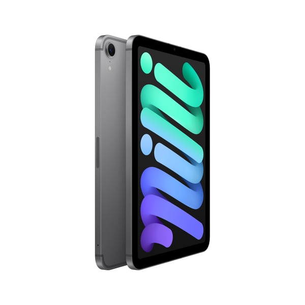 Apple iPad mini 128 GB WiFi + 5G 2024 -surfplatta, stjärngrå (MXPN3)