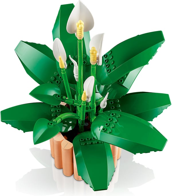 LEGO Botanicals 11504 Fredskalla