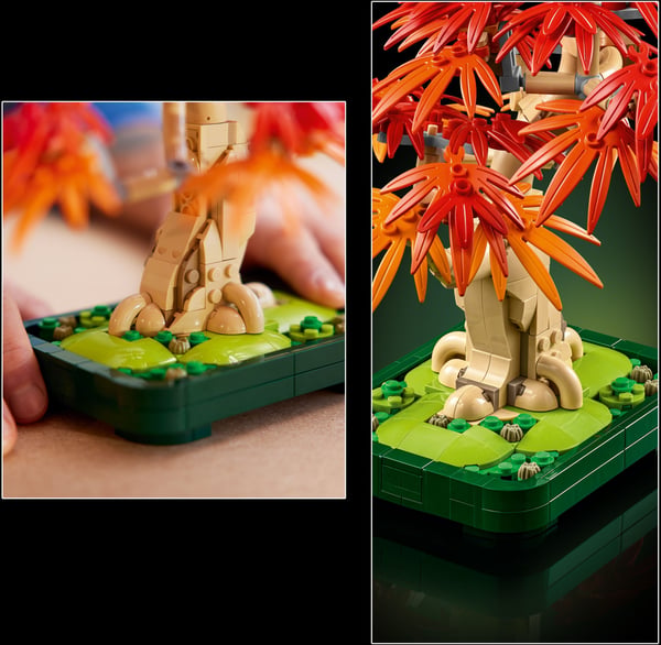 LEGO Botanicals 10348 Rödbladig japansk lönn-bonsaiträd