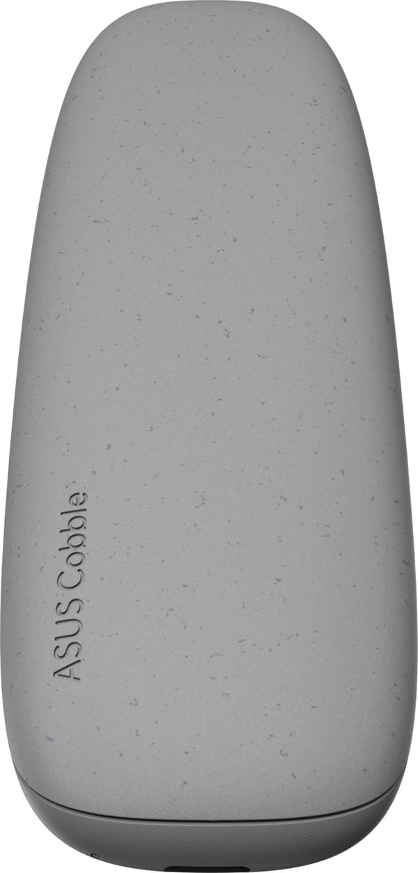 Asus Cobble SSD-fodral, grå