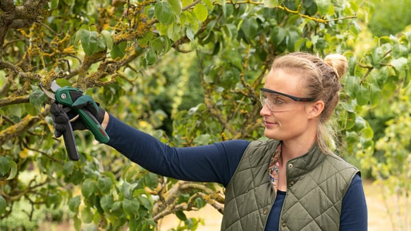 Bosch Easyprune - batterisax för grenar