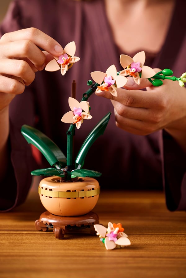 LEGO Botanicals 10343 – Miniorkidé