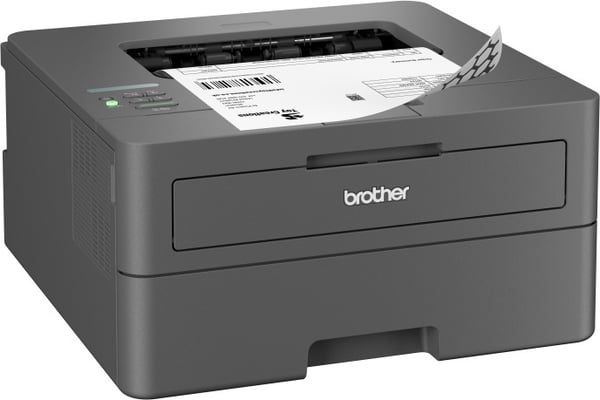 Brother HL-L2400DW - svartvit laserskrivare