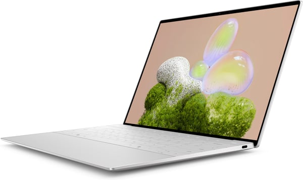 Dell XPS 13 (9350) bærbar computer, Windows 11 Pro, grå (XP9PP)