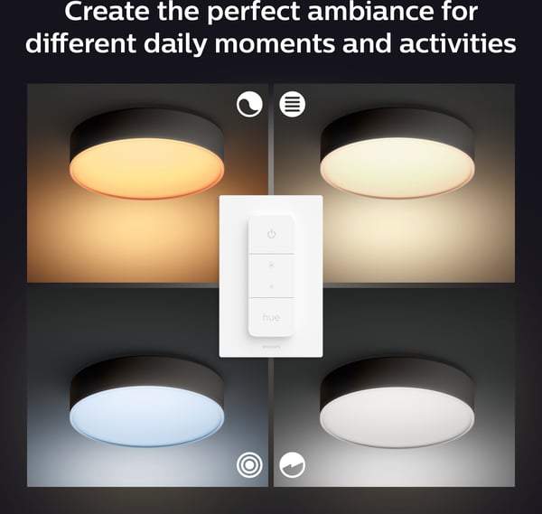 Philips Hue Enrave M white ambiance - smart loftlampe, mellem størrelse, sort