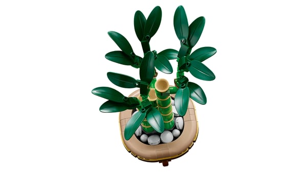 LEGO Botanicals 10344 – Heldige bambus