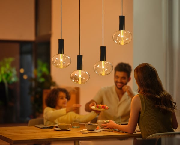 Philips Hue Lightguide-smartlampa, White and color Ambiance Filament, E27
