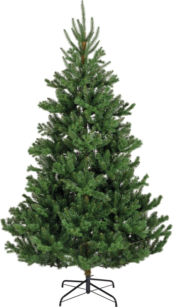 Enne Forest Jade äkta utseende julgran, 210 cm