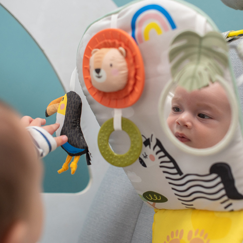 Taf Toys Savannah Play & Kick lekcenter