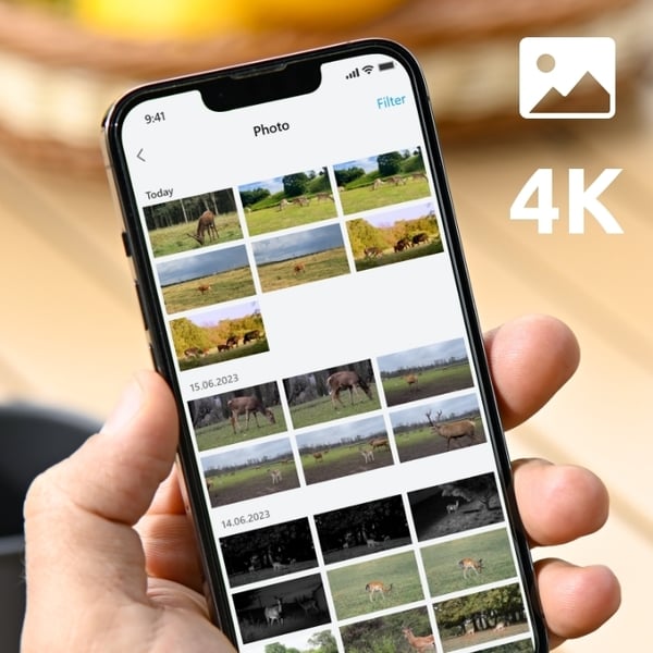Reolink Go Ranger PT 8MP 4G batteridriven kamera för utomhusbruk