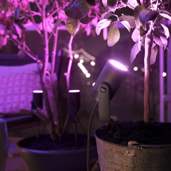 Philips Hue Lily Outdoor White and Colour Ambiance - havebelysnings sæt