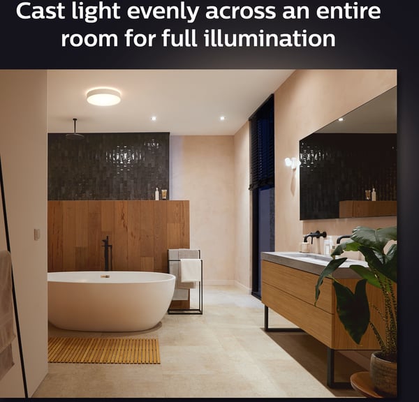 Philips Hue Devere hvid ambiance - smart loftlampe, M-størrelse, IP44, hvid