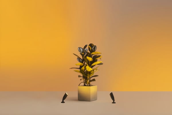 WiZ Ground Spot Extension spotlight