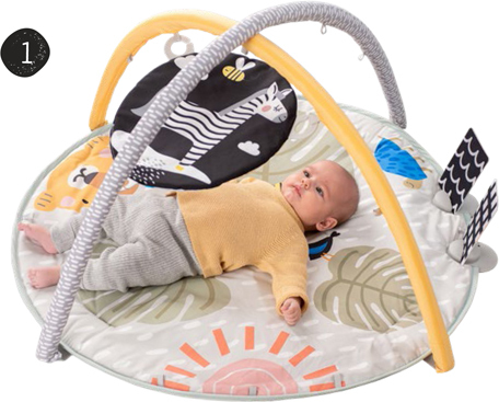Taf Toys Savannah 360 Aktivitetsgym