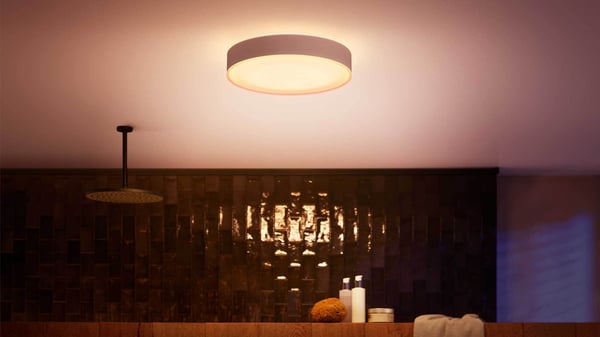Philips Hue Devere hvid ambiance - smart loftlampe, M-størrelse, IP44, hvid