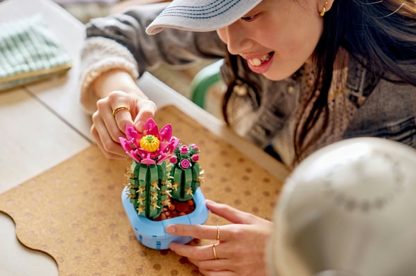 LEGO Botanicals 11509 Blommande kaktus