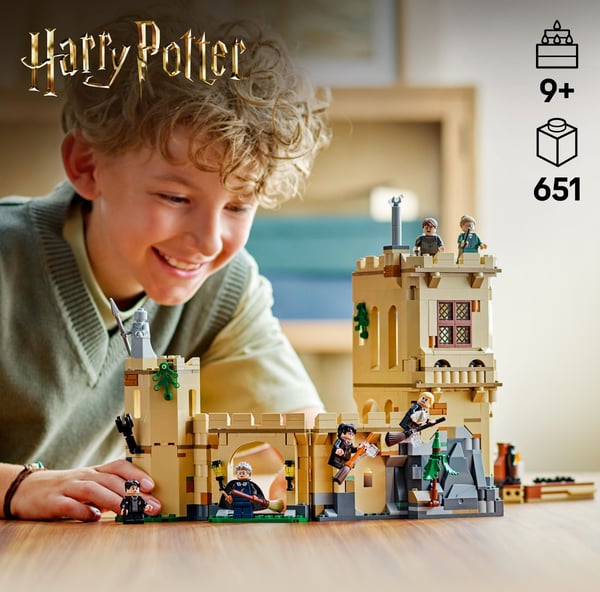 LEGO Harry Potter 76447 – Hogwarts slot: Flyvelektioner