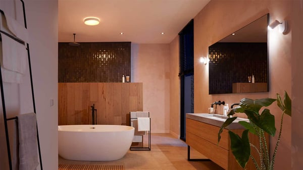 Philips Hue Devere hvid ambiance - smart loftlampe, M-størrelse, IP44, hvid