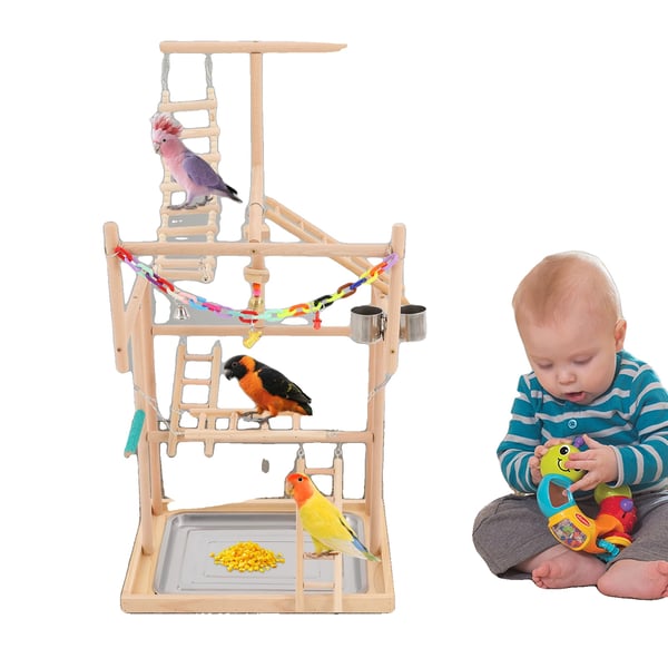 Fuglelegeplads, Bøgetræ, 48*33.5*94.5 cm, Egnet til Små og Mellemstore Fugle, Moderne Design, Samling Påkrævet