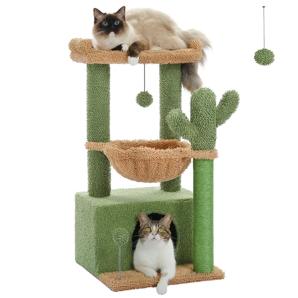 Kattträd, Unik Kaktusdesign, Flera Vilaområden,Grön