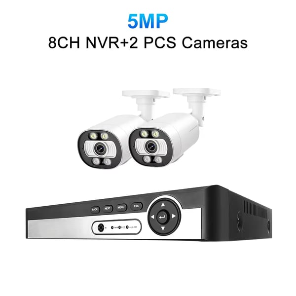 CCTV-kamerasystem, 8-kanals NVR, 5MP HD-video, tovejrslyd,1T, 8CH NVR 2 kameraer