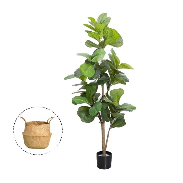 Fiddle Leaf Fig Træ, Elegant Hjemmedekoration, Lav Vedligeholdelsesdesign,5FT-150 cm