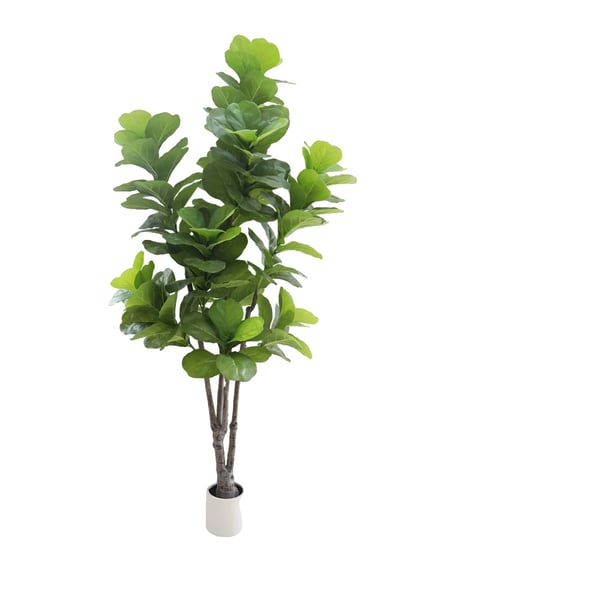 Konstgjord Fiddle Leaf Fig Träd, Livaktigt Utseende, Låg Underhåll,210cm