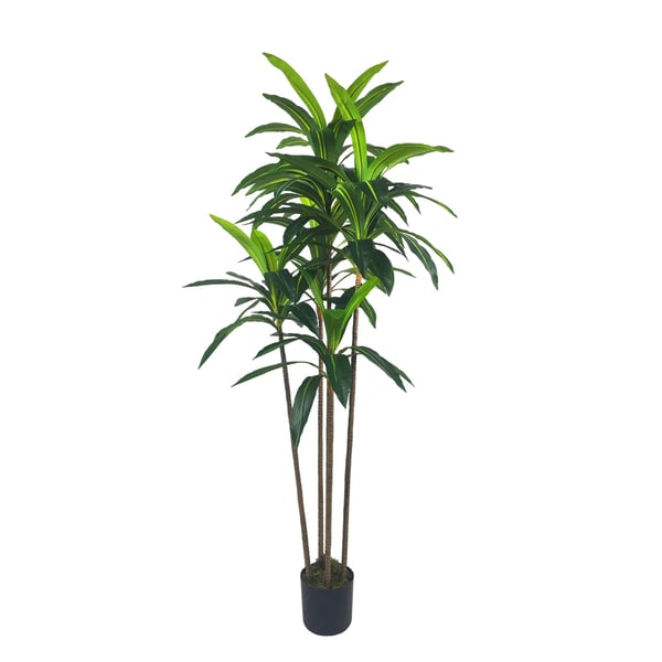 Kunstig Plante, Livagtig Udseende, Lav Vedligeholdelse,grøn