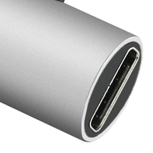 Type-C 2-1 Mini Adapter Laddare