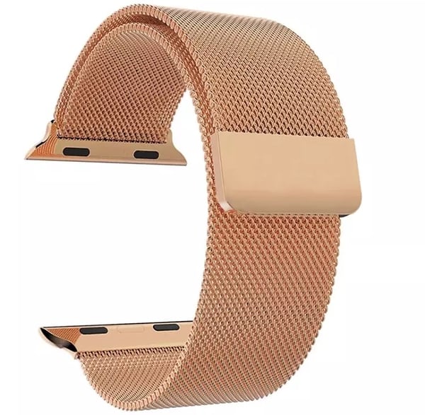 Apple Watch 42mm - Länk i Rostfritt stål från LEMAN