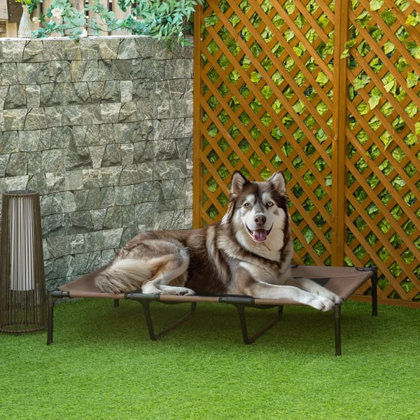 PawHut Hævet Hundeseng Udendørs, Metal & Oxford Stof, Kaffebrun, 122 x 92 x 23 cm