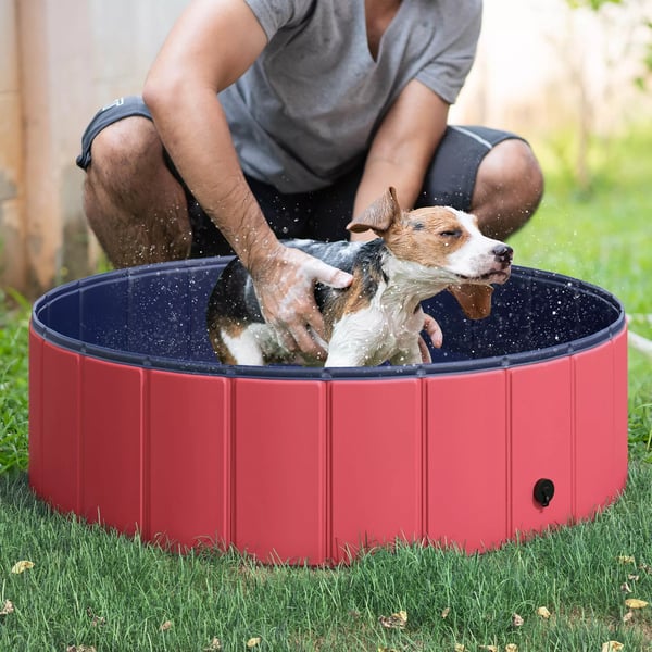 PawHut hundepool, soppebassin til hunde, swimmingpool i PVC+træ, rød, Ø100xH30 cm, sommerforfriskning