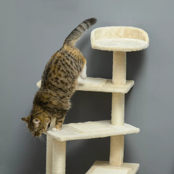 PawHut Kradsetræ til katte - Beige Polywood og Sisal - 50x50x100 cm