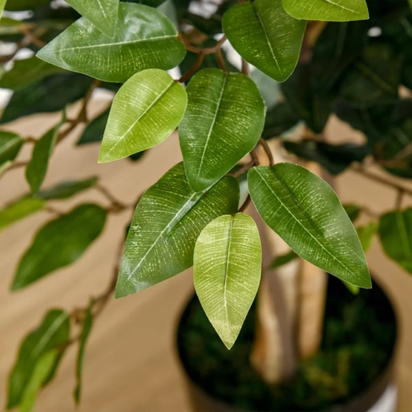 Konstgjord Ficus, Grön, 150 cm, Plast, Dekoration inomhus/utomhus, 1008 löv