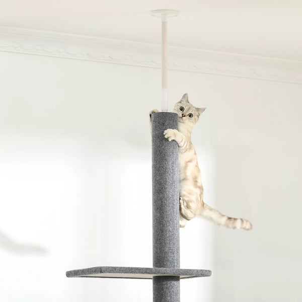 PawHut Hjdejusterbar Kradsetræ til Katte, med 4 Platforme, Grå