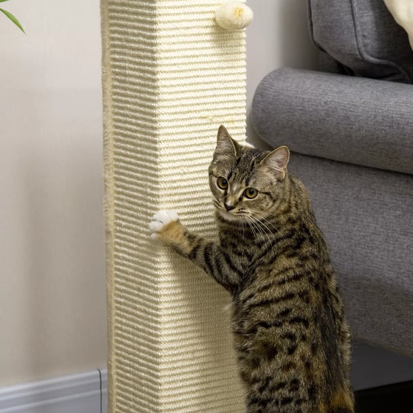 PawHut Raapimispylväs 80cm, Sisal, Tammi + Kermavalkoinen