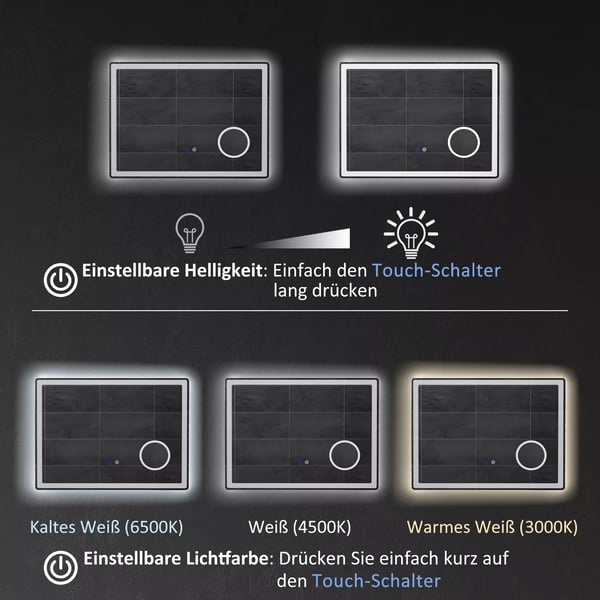kleankin LED Badeværelsesspejl med ForstøRrelse, Touch & Dugfri Funktion, 80x60cm, Jern/Glas, Hvid/Sølv