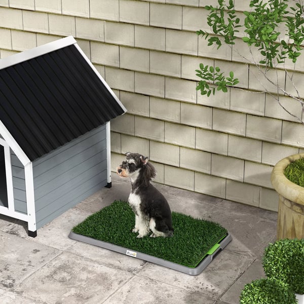 PawHut hundetoilet med 2 græsmåtter, bakke til pottetræning, hvalpetoilet til hvalpe indendørs udendørs grøn 67 x 41 cm | Aosom