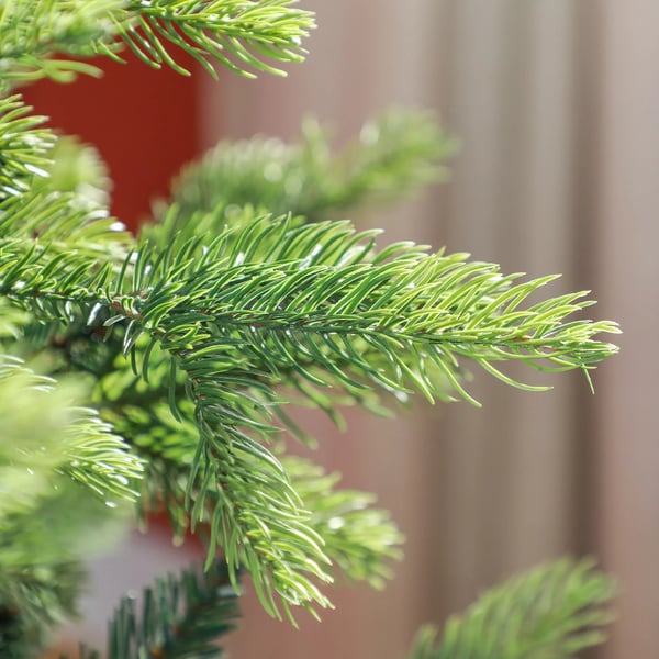 HOMCOM Kunstigt Juletræ 180 cm, 1700 Spidser, Grøn, Plastik/Metal