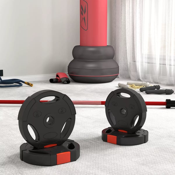 SPORTNOW 4-styk sæt vægtskiver, 2 x 2,5 kg/5 kg vægte, vægtskivesæt, vægtskiver til 2,5 cm vægtstang, Ø 25/30 mm hul, sort