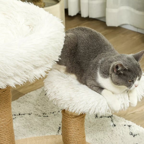 PawHut Kissapuu Raapimispylväs Leikkipallolla - Päärynäpuu, Valkoinen, 61,5 cm