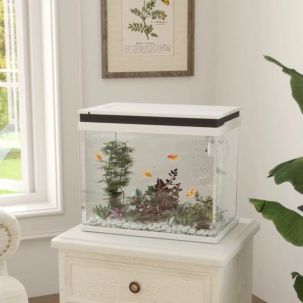 PawHut Akvarium 41L Glas med LED-lys og Filtersystem - Hvid
